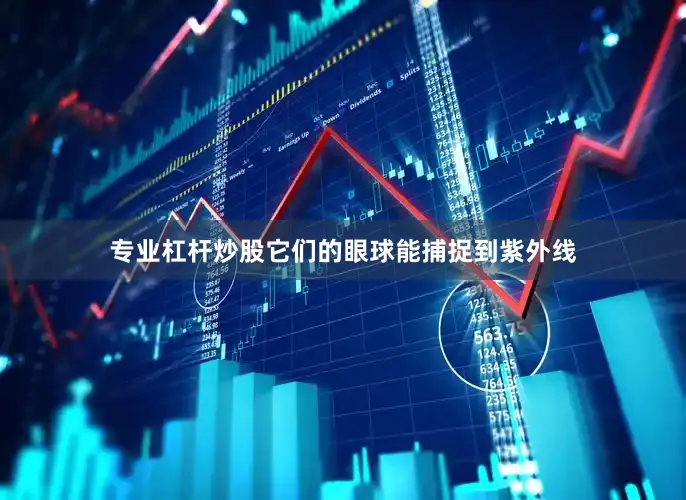专业杠杆炒股它们的眼球能捕捉到紫外线