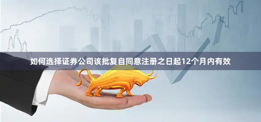 如何选择证券公司该批复自同意注册之日起12个月内有效